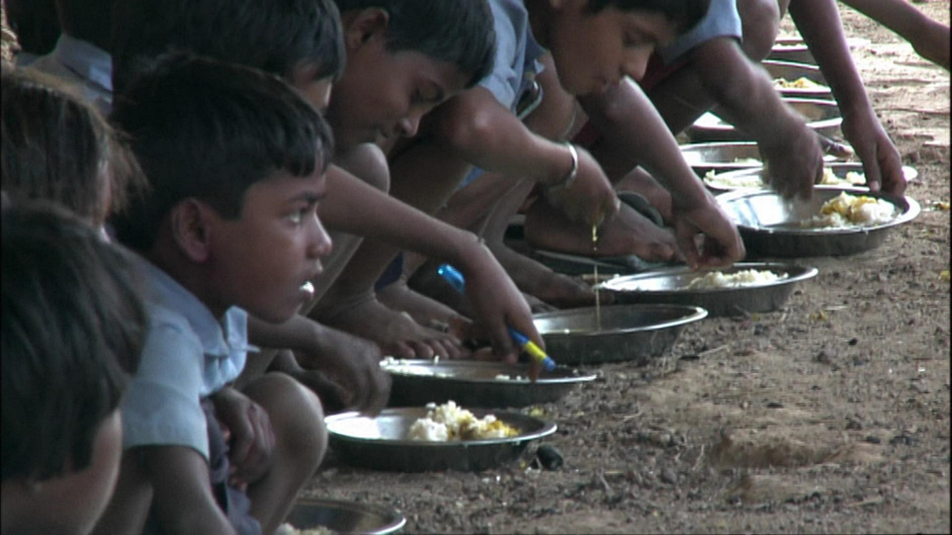 Indien: Sackgasse Gentechnologie · Hunger