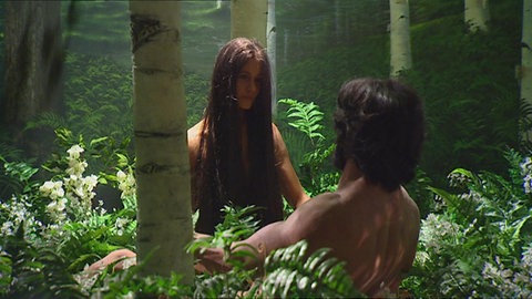 Evolution vs. Kreationismus