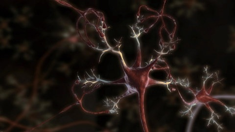 Nerve Network · Totally Phenomenal