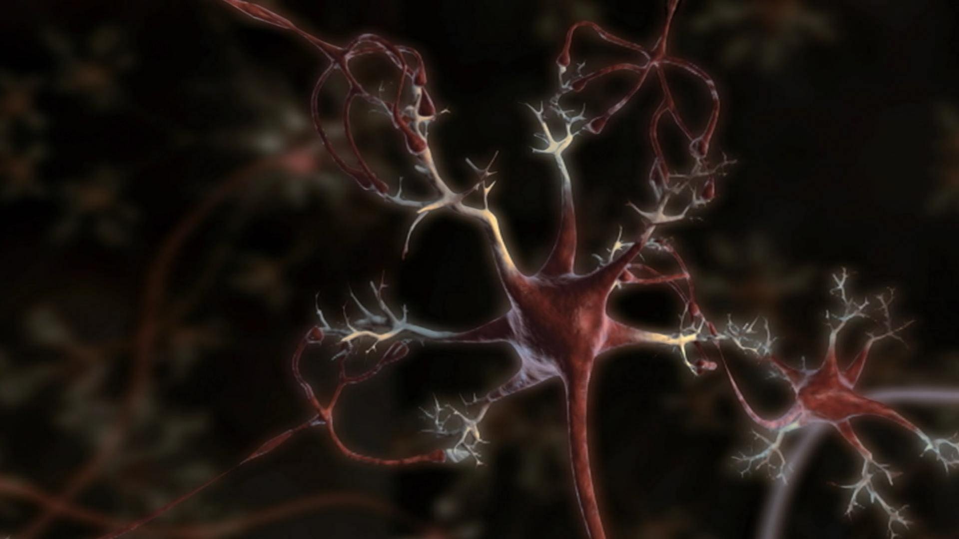 Nerve Network · Totally Phenomenal