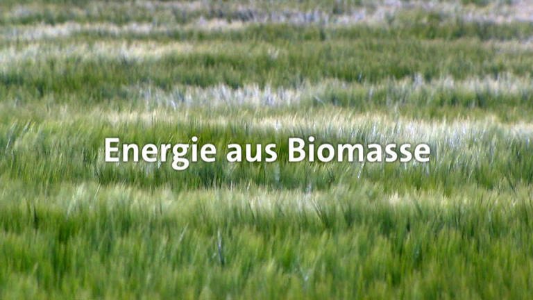 Energie aus Biomasse · total phänomenal