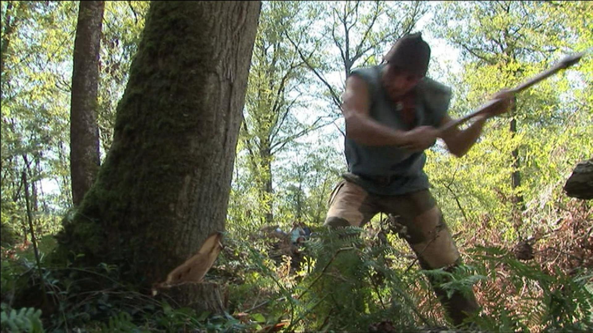 Ein Mann fällt einen Baum mit einer Axt.