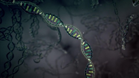 Gentechnik · total phänomenal