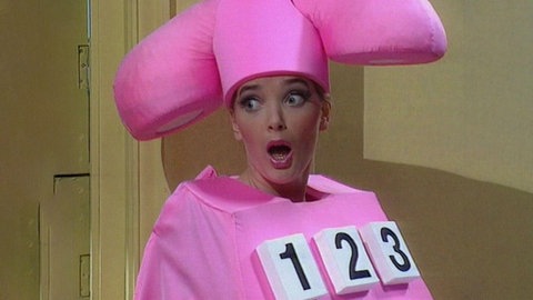 Phoebe Calling · Wizadora