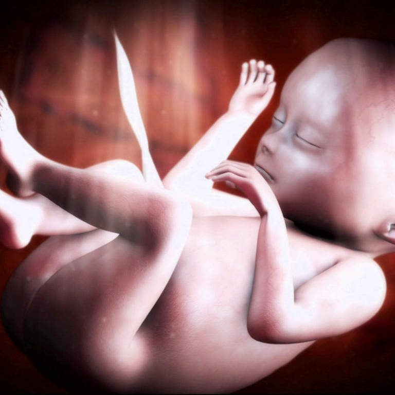 Animiertes Bild: Ein Baby im Bauch der Mutter.