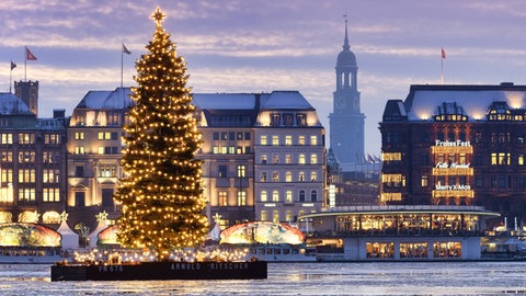 Weihnachtsbaum auf der Alster in Hamburg.