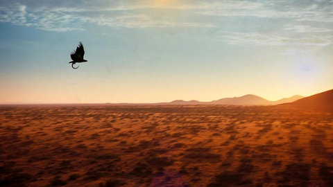 Afrika · Wo das Klima auf der Kippe steht