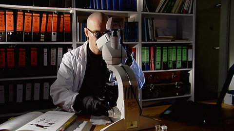 Wie vergrößert ein Mikroskop? · Frage trifft Antwort