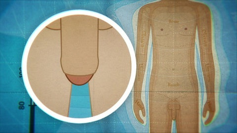 Animiert – Ein nackter Körper, daneben der Penis mit Vorhaut.