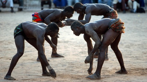 Vier junge Wrestler in Banjul, Gambia, bereiten sich auf den Kampf vor.