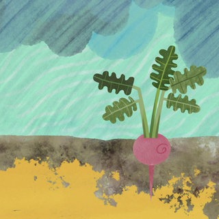 Der fruchtbare Lössboden · In 100 Sekunden