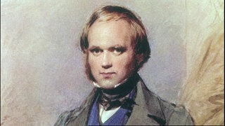 Darwins Reise zur Evolution