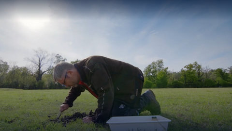 Was ist ein Entomologe? · Frage trifft Antwort