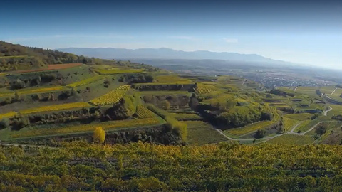 Wieso ist das Klima am Kaiserstuhl so mild? · Frage trifft Antwort