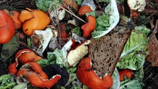 Lebensmittelmüll auf einem Haufen