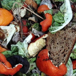 Lebensmittelmüll auf einem Haufen