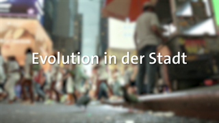Evolution in der Stadt