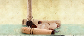 Woher kommt die Demokratie? · Frage trifft Antwort