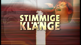 Stimmige Klänge · Hast Du Töne?
