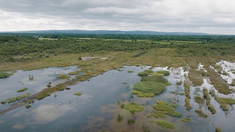 Blick über eine irische Moorlandschaft
