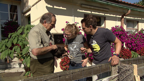 Ein älterer Mann hält ein Huhn in den Händen, eine junge Frau und ein junger Mann beobachten es.