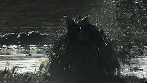 Multitalent Erdöl · total phänomenal