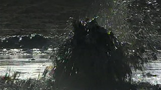 Multitalent Erdöl · total phänomenal