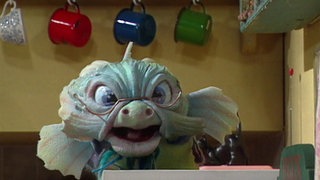 Can You Fly? · Wizadora