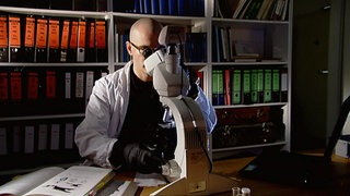 Wie vergrößert ein Mikroskop? · Frage trifft Antwort