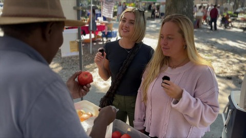 Lily und eine Freundin kaufen an einem Gemüsestand Toamten