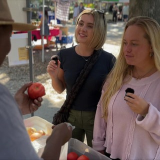 Lily und eine Freundin kaufen an einem Gemüsestand Toamten