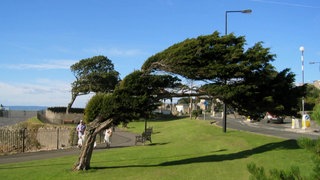 Westwind · Unser Wetter