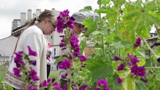 Paris: Dachgärten in der Metropole · Big Cities