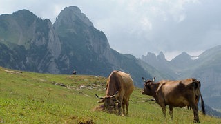 Was ist Naturjodeln? · Frage trifft Antwort