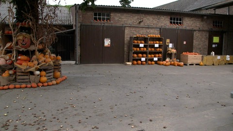Auf einem Hof liegen einige Kürbisse