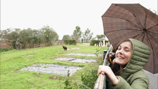 La otra España, ¡el norte! · Mi diario londinense