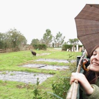 La otra España, ¡el norte! · Mi diario londinense