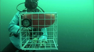 Welche Kraft hat Wasser? · Frage trifft Antwort