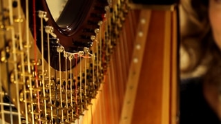 Die Harfe · Instrumente im Sinfonieorchester: Eine Musiker erklärt das Instrument und zeigt wie es klingt.