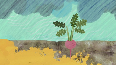 Der fruchtbare Lössboden · In 100 Sekunden