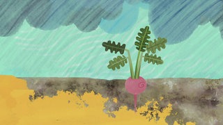 Der fruchtbare Lössboden · In 100 Sekunden