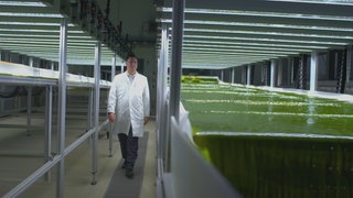 Algenzucht an der TU München.