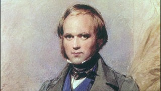 Darwins Reise zur Evolution