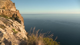 Blick über eine felsige Küstenlandschaft auf das Meer