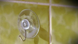 Was haben Käfer und Duschmatten gemeinsam? · Frage trifft Antwort