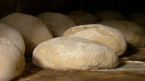 Von der Mühle zum Brot · Weizen
