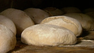 Von der Mühle zum Brot · Weizen