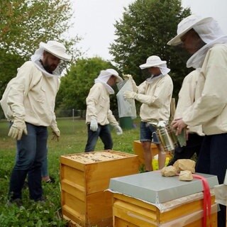 Schule 4.0 · Digitalisierung
