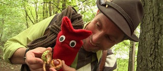 Ein Mann und eine rote Strumpfhandpuppe sind im Wald. Der Mann zeigt der Puppe eine Kastanie.