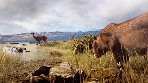 Was ist der Steinheimer Schneckensand? · Frage trifft Antwort